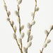 Pussy Willow Spray 83cm Natural - Pack of 12