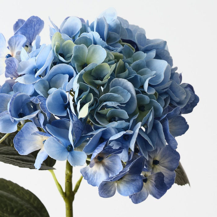 Artificial Hydrangea 66cm Light Blue - Pack of 12 - FLORA DESIGNS