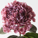 Artificial Hydrangea 66cm Mauve - Pack of 12 - FLORA DESIGNS