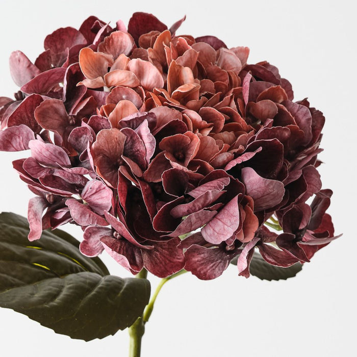 Artificial Hydrangea 66cm Burgundy Rust - Pack of 12 - FLORA DESIGNS