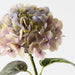 Artificial Hydrangea 66cm Green Purple - Pack of 2 - FLORA DESIGNS
