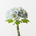 Artificial Hydrangea Bundle 26cm Light Blue - Pack of 6 - FLORA DESIGNS
