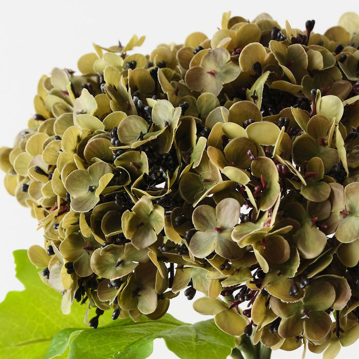 Artificial Hydrangea Bundle 26cm Olive Green - Pack of 6 - FLORA DESIGNS