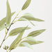 Eucalyptus Seed Spray 90cm Green Grey - Pack of 12