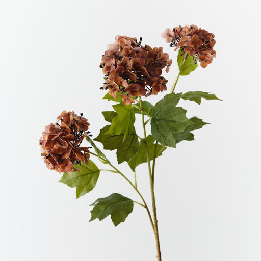Artificial Hydrangea Spray 68cm Burnt Orange - Pack of 12 - FLORA DESIGNS