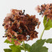 Artificial Hydrangea Spray 68cm Burnt Orange - Pack of 12 - FLORA DESIGNS
