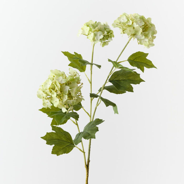 Artificial Hydrangea Spray 68cm Light Green - Pack of 12 - FLORA DESIGNS