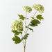 Artificial Hydrangea Spray 68cm Light Green - Pack of 12 - FLORA DESIGNS