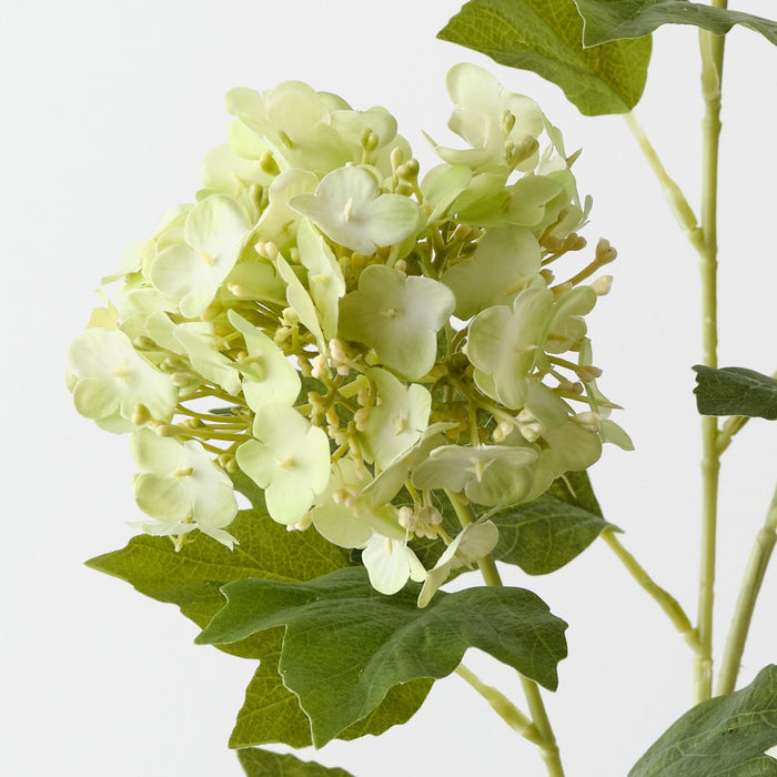Artificial Hydrangea Spray 68cm Light Green - Pack of 12 - FLORA DESIGNS