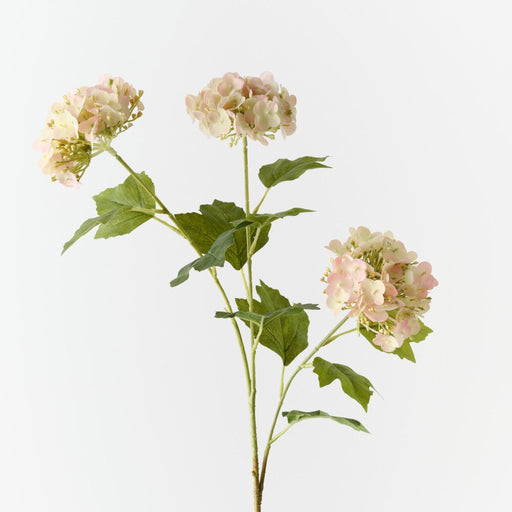 Artificial Hydrangea Spray 68cm Peach - Pack of 12 - FLORA DESIGNS