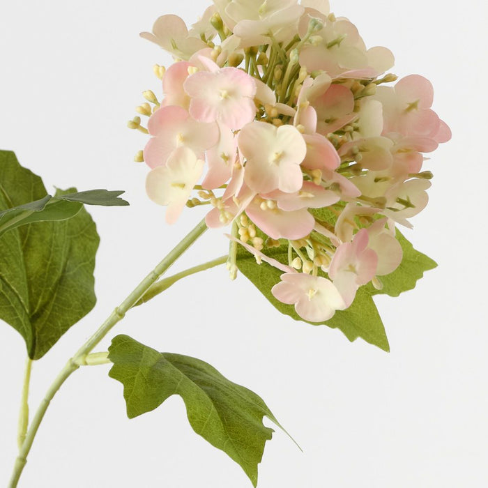 Artificial Hydrangea Spray 68cm Peach - Pack of 12 - FLORA DESIGNS