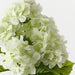 Artificial Hydrangea Bush 52cm Light Green - Pack of 12 - FLORA DESIGNS
