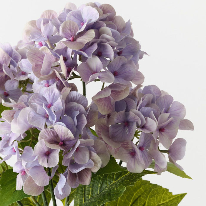 Artificial Hydrangea Bush 52cm Lavender - Pack of 12 - FLORA DESIGNS