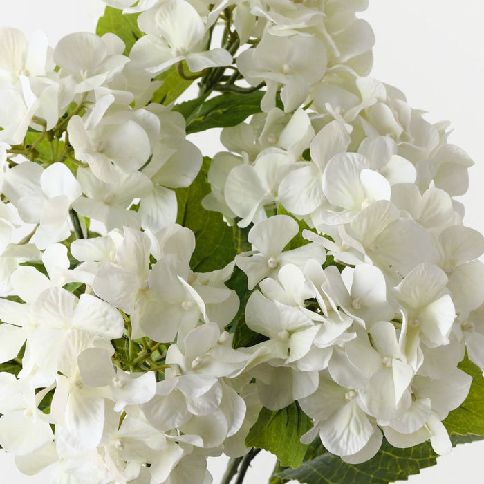 Artificial Hydrangea Bush 52cm White - Pack of 12 - FLORA DESIGNS