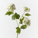 Artificial Hydrangea Spray 68cm White Green - Pack of 12 - FLORA DESIGNS