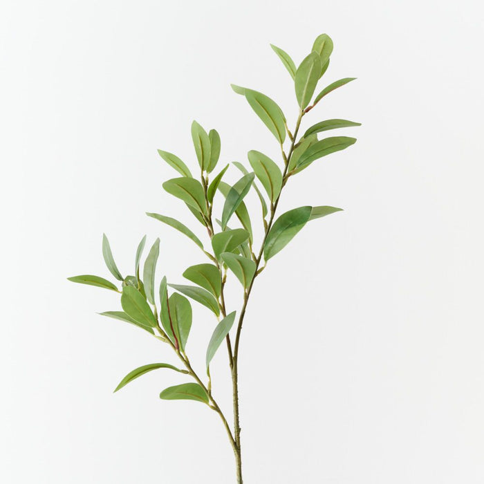 Artificial Pittosporum Leaf Spray 70cm Green - Pack of 12 - FLORA DESIGNS