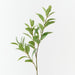 Artificial Pittosporum Leaf Spray 70cm Green - Pack of 12 - FLORA DESIGNS