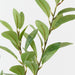Artificial Pittosporum Leaf Spray 70cm Green - Pack of 12 - FLORA DESIGNS