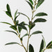 Artificial Pittosporum Leaf Spray 70cm Variegated - Pack of 12 - FLORA DESIGNS