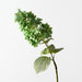Artificial Hydrangea Cone 74cm Grass Green - Pack of 12 - FLORA DESIGNS
