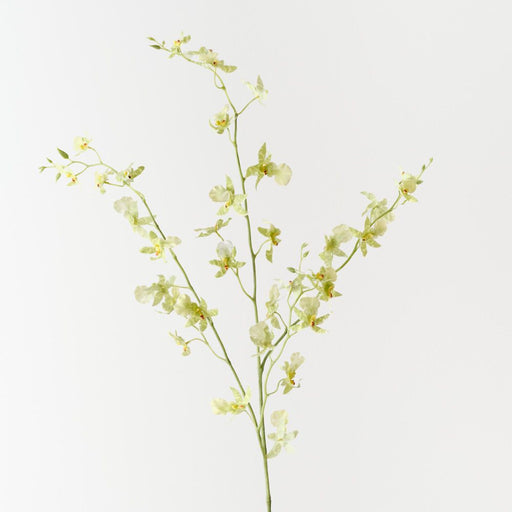 Artificial Orchid Oncidium Spray 94cm Light Green - FLORA DESIGNS