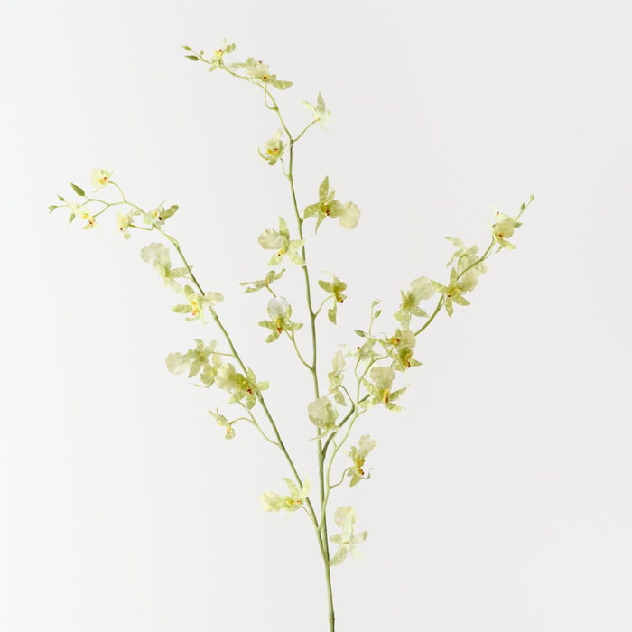 Artificial Orchid Oncidium Spray 94cm Light Green - FLORA DESIGNS
