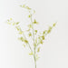 Artificial Orchid Oncidium Spray 94cm Light Green - FLORA DESIGNS