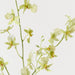 Artificial Orchid Oncidium Spray 94cm Light Green - FLORA DESIGNS