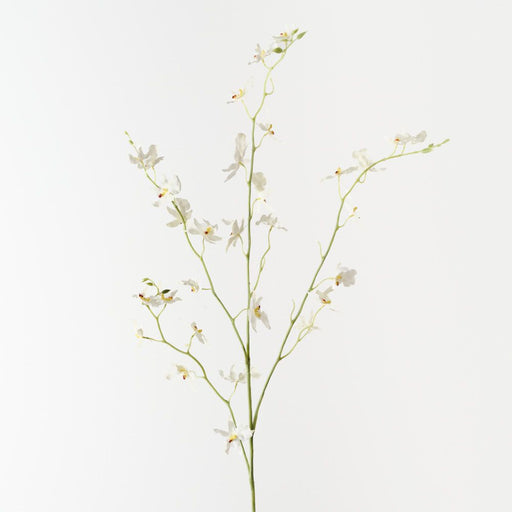 Artificial Orchid Oncidium Spray 94cm White - Pack of 12 - FLORA DESIGNS