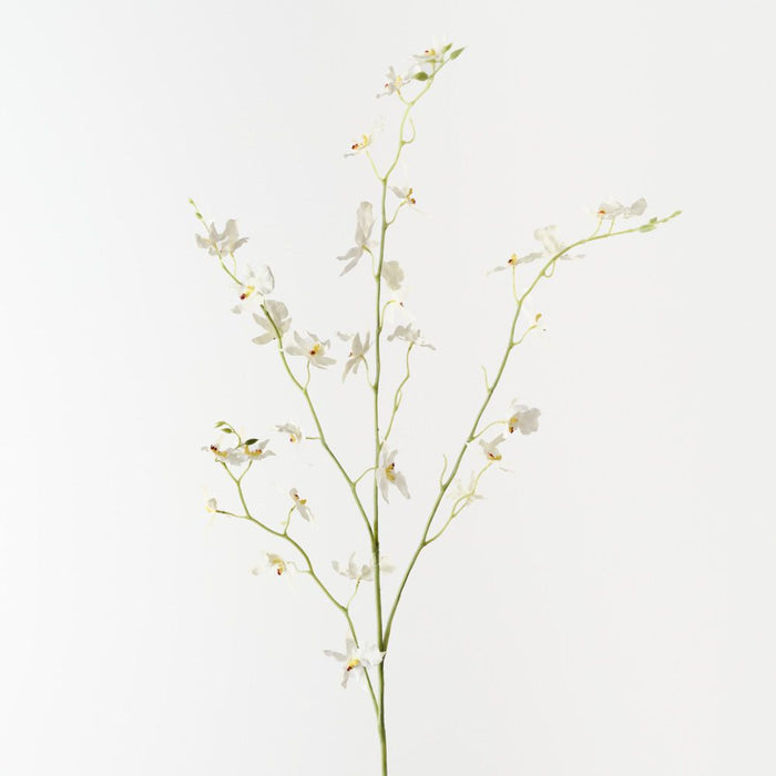Artificial Orchid Oncidium Spray 94cm White - Pack of 12 - FLORA DESIGNS