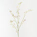 Artificial Orchid Oncidium Spray 94cm White - Pack of 12 - FLORA DESIGNS