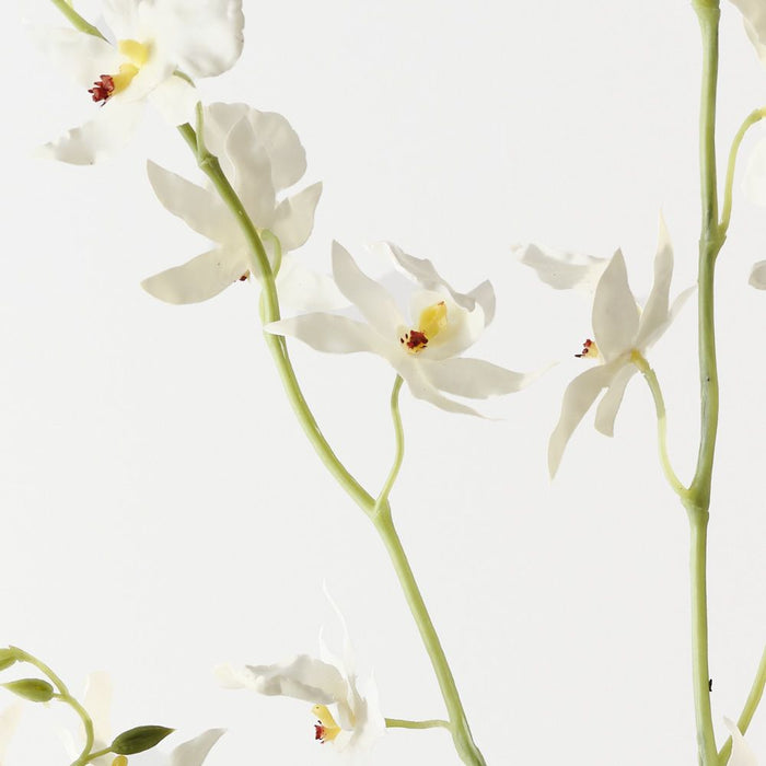 Artificial Orchid Oncidium Spray 94cm White - Pack of 12 - FLORA DESIGNS