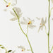 Artificial Orchid Oncidium Spray 94cm White - Pack of 12 - FLORA DESIGNS