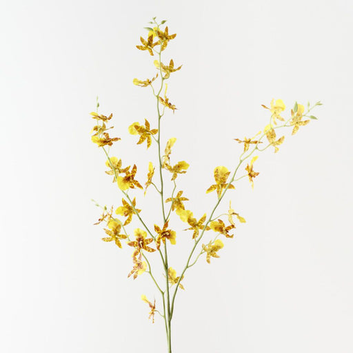 Artificial Orchid Oncidium Spray 94cm Yellow - Pack of 12 - FLORA DESIGNS