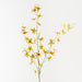 Artificial Orchid Oncidium Spray 94cm Yellow - Pack of 12 - FLORA DESIGNS