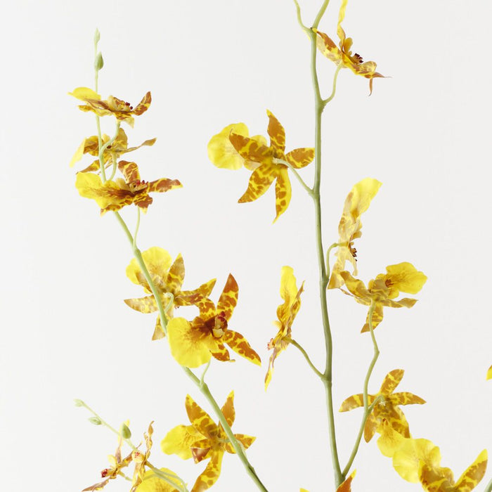 Artificial Orchid Oncidium Spray 94cm Yellow - Pack of 12 - FLORA DESIGNS