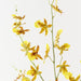 Artificial Orchid Oncidium Spray 94cm Yellow - Pack of 12 - FLORA DESIGNS