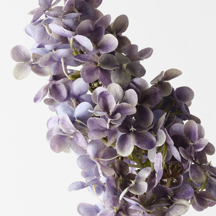 Artificial Hydrangea Cone 74cm Lavender Purple - Pack of 2 - FLORA DESIGNS
