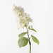 Artificial Hydrangea Cone 74cm White - Pack of 12 - FLORA DESIGNS