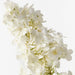 Artificial Hydrangea Cone 74cm White - Pack of 12 - FLORA DESIGNS