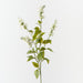 Artificial Lilac Bud Spray 62cm Cream - Pack of 2 - FLORA DESIGNS