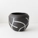 Takumi Pot 25cm Domino - Pack of 12 - FLORA DESIGNS