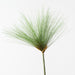 Papyrus Grass 73cm Green - Pack of 12