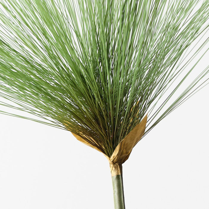 Papyrus Grass 73cm Green - Pack of 12