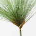 Papyrus Grass 73cm Green - Pack of 12