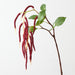 Artificial Amaranthus Spray 88cm Burgundy - Pack of 12 - FLORA DESIGNS