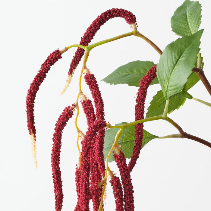 Artificial Amaranthus Spray 88cm Burgundy - Pack of 12 - FLORA DESIGNS