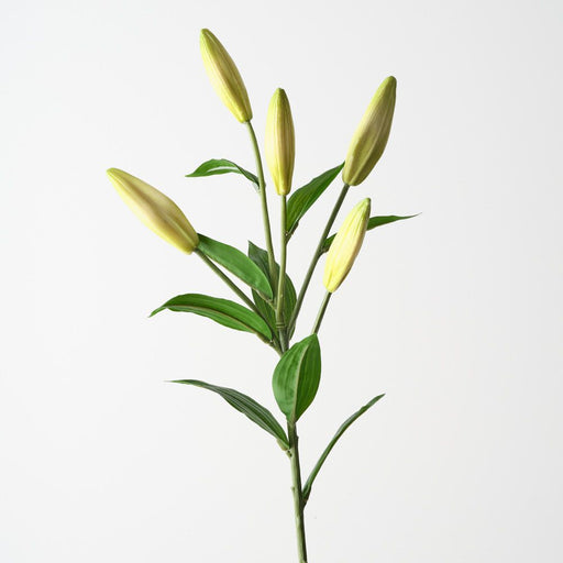 Artificial Casablanca Lily Buds 81cm Green - Pack of 12 - FLORA DESIGNS
