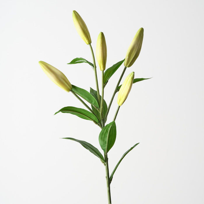 Artificial Casablanca Lily Buds 81cm Green - Pack of 12 - FLORA DESIGNS