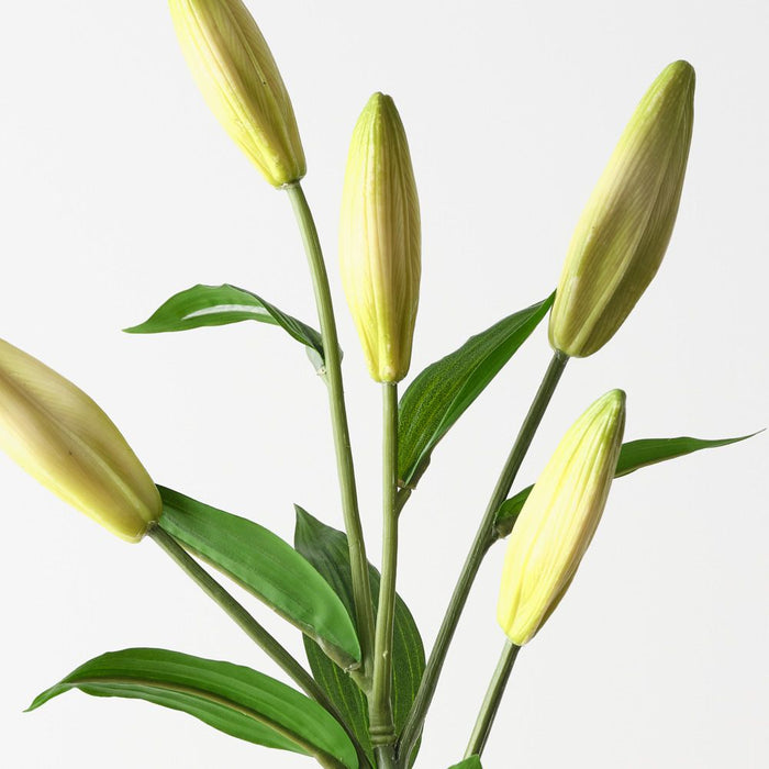 Artificial Casablanca Lily Buds 81cm Green - Pack of 12 - FLORA DESIGNS